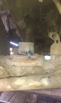 IMAG0833.jpg