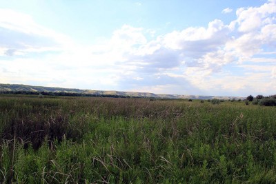 IMG_3758_форум.jpg