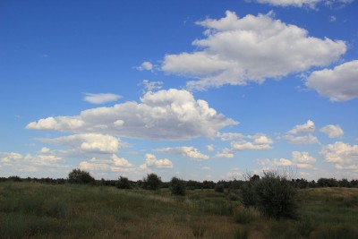 IMG_3751_форум.jpg