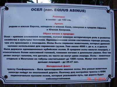 DSC00904 (2).JPG