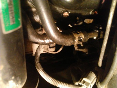 WP_20140715_018.jpg