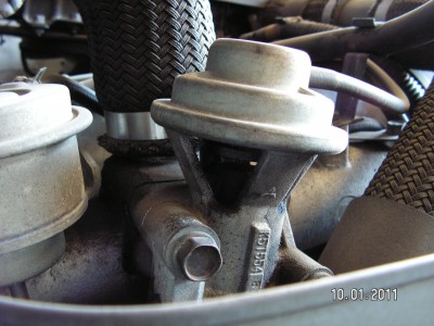 PICT5571.JPG