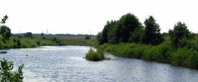 x_333fcbf4.jpg