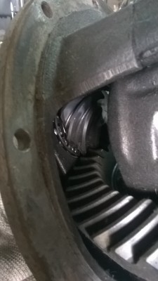 WP_20140722_11_34_59_Pro.jpg