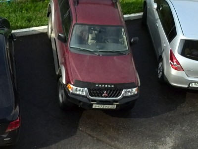 image.jpg