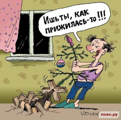 НГ.jpg