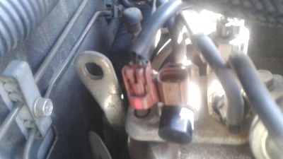 20140726_143339.jpg