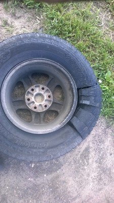 WP_20140622_002.jpg