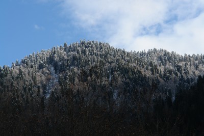 DSC05171.JPG