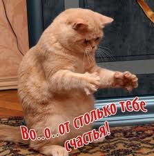 Много счастья.jpg
