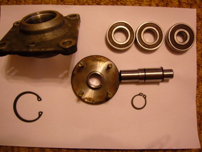 SNC13147.jpg