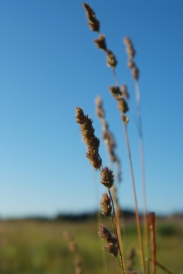 DSCF0024.JPG