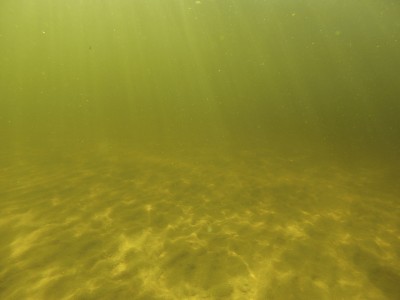 G0170093.JPG