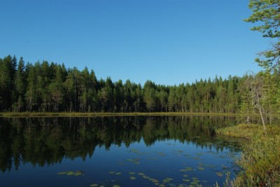 DSCF0097.JPG