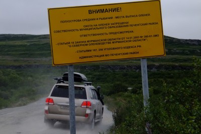 в предвкушении оленей...