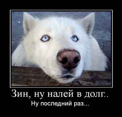 b4dbf3668202321a07cddf3bdbfd708a.jpg