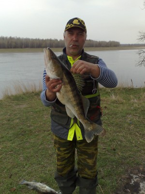 Судак 5,2.jpg
