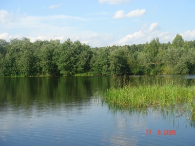 DSC04326.JPG