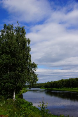 Виды Мезени.