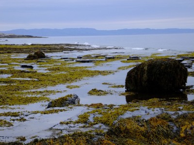 DSCF0129.JPG