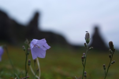 DSCF0315.JPG