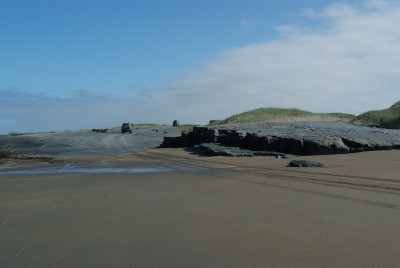 DSCF0352.JPG