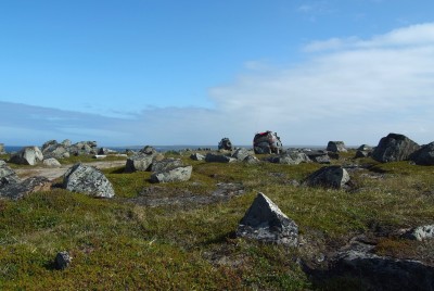 DSCF0370.JPG