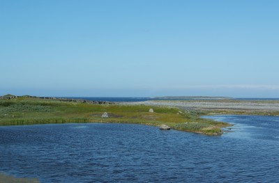 DSCF0433.JPG