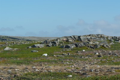 DSCF0465.JPG