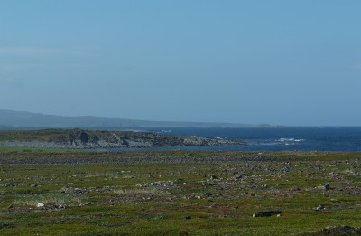 DSCF0473.JPG