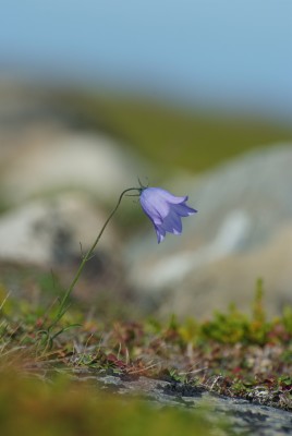 DSCF0472.JPG