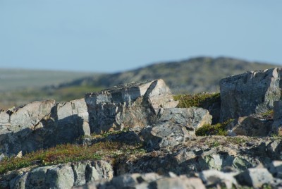 DSCF0644.JPG