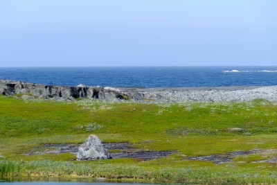 DSCF8584.JPG