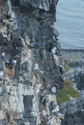 DSCF0709.JPG