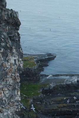 DSCF0715.JPG