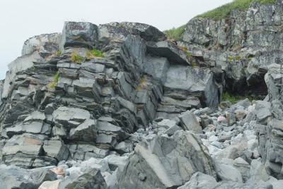 DSCF0822.JPG