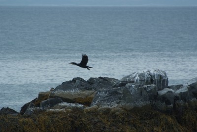 DSCF0859.JPG