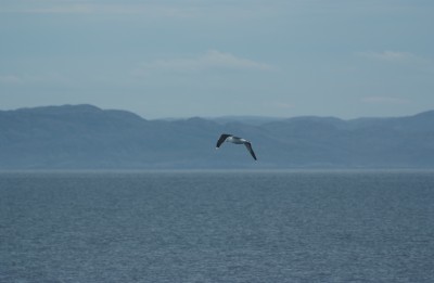 DSCF0868.JPG