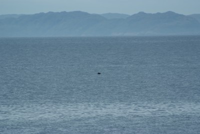 DSCF0875.JPG