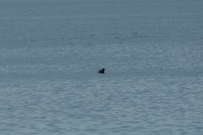 DSCF0798.JPG