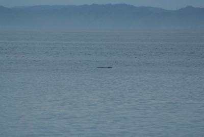 DSCF0789.JPG