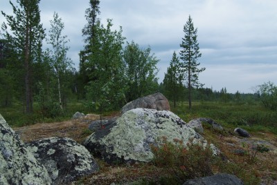 DSCF0961.JPG