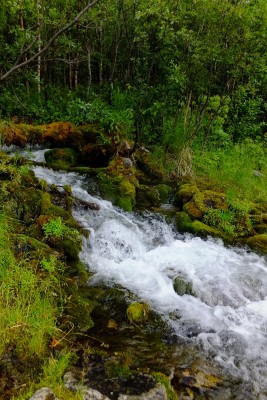 DSCF8840.JPG