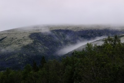 DSCF8889.JPG