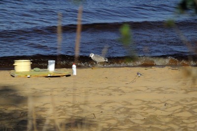 DSCF9134.JPG