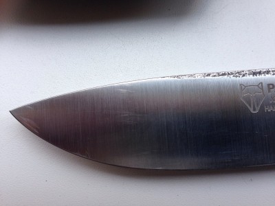 9836476.jpg