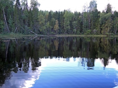 Залив Святозера-3.JPG