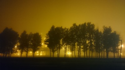 DSC_0007.JPG
