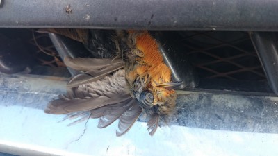 IMG-20140831-WA0004.jpeg