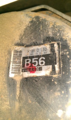 IMAG0011.jpg